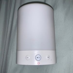 Bluetooth speaker and light